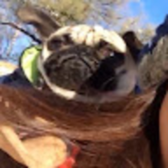 Meet your Posher, Israel - Picture 1 of 1